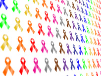 This is an image of this site's sub-feature content.